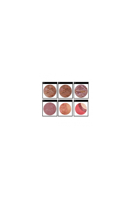 MD BRILLANT BLUSH ON 953