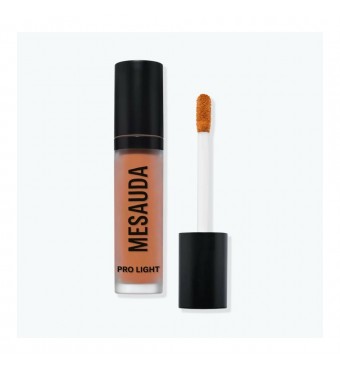 MESAUDA Pro Light Concealer - P01