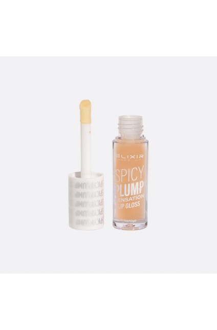 ELIXIR Spicy Plump Lipgloss – 400