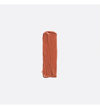 ELIXIR Forever Lip Mat Κραγιόν 205